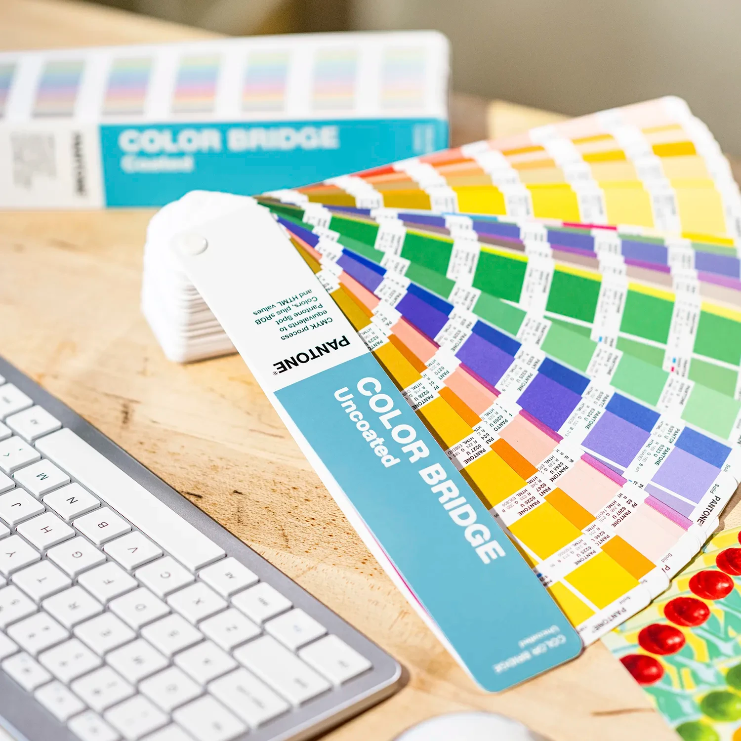 PANTONE® USA | Pantone Color Bridge Guide Set | Coated & Uncoated