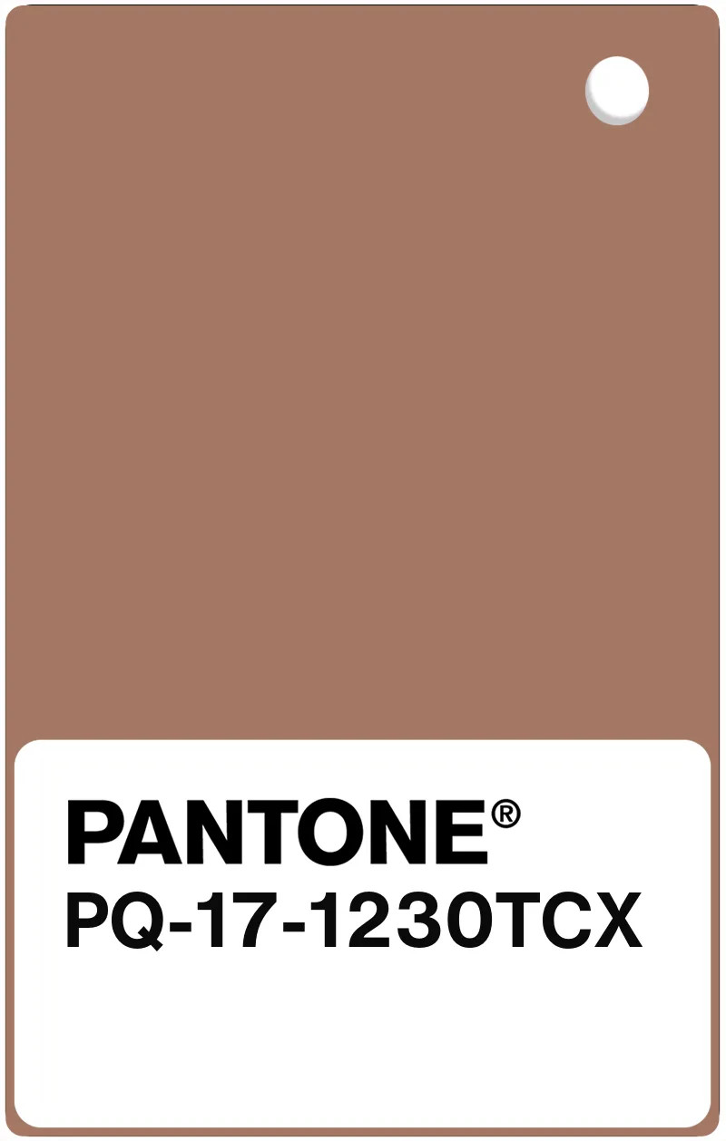PANTONE® USA | Plastic Chip, Pantone Color of the Year 2025, 17