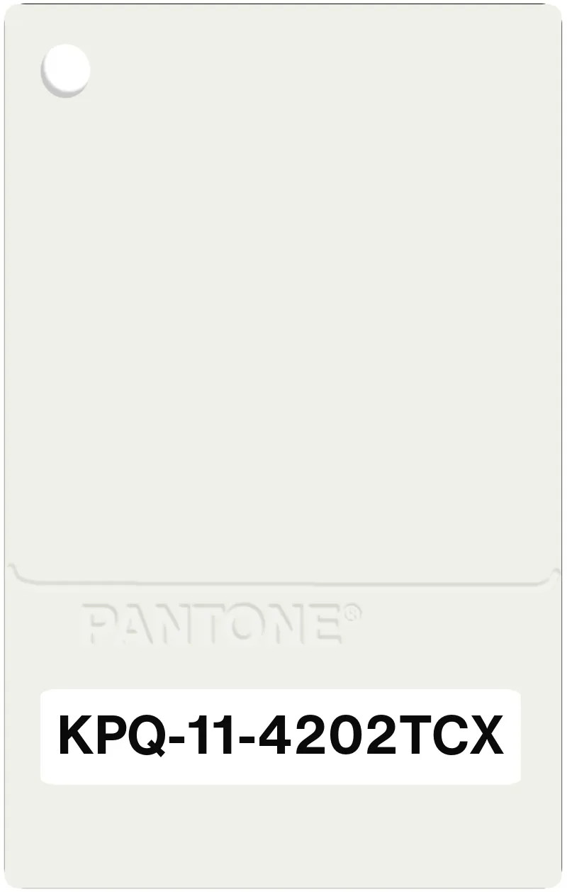 PANTONE® USA | 11-4202 TCX