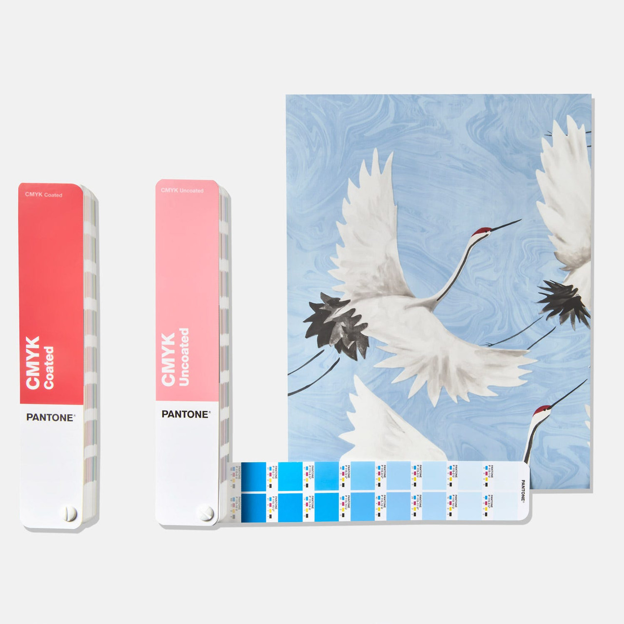 PANTONE® USA | Pantone Solid Chips | Coated & Uncoated