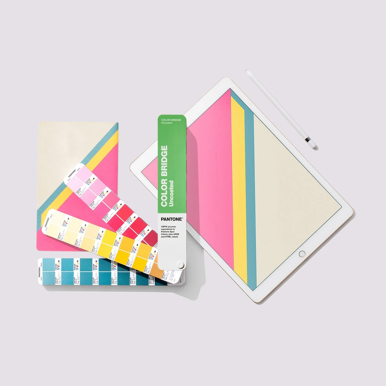 Color Bridge Guide Uncoated - 2