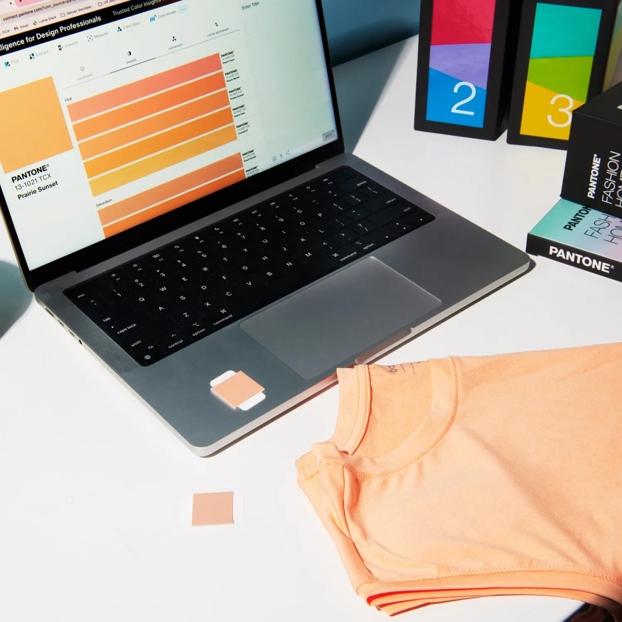 PANTONE® USA | Fashion, Home + Interiors Cotton Chip Set +