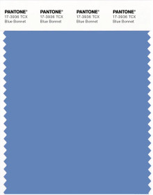 PANTONE® USA | Pantone 17-3936 TCX Blue Bonnet
