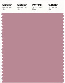 PANTONE® USA | Pantone 16-1708 TCX Lilas