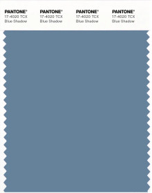 専用ページ♡ PANTONE® APAC | Pantone 17-4020 TCX Blue Shadow
