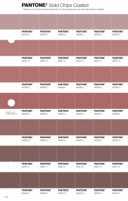 PANTONE® EU | Pantone 4040 C