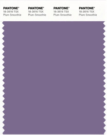 PANTONE® APAC | Pantone 18-3616 TSX Plum Smoothie