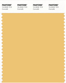 PANTONE® USA | Pantone 13-0932 TCX Cornsilk