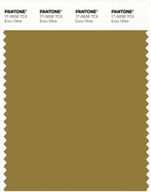 PANTONE® APAC | Pantone 17-0836 TCX Ecru Olive