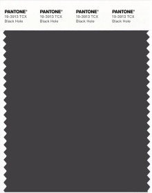 PANTONE® APAC | Pantone 19-3913 TCX Black Hole