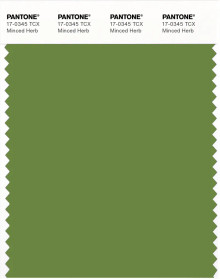 PANTONE® USA | Pantone 17-0345 TCX Minced Herb