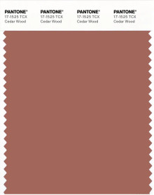PANTONE® USA | Pantone 17-1525 TCX Cedar Wood