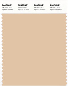 PANTONE® APAC | Pantone 14-1120 TCX Apricot Illusion