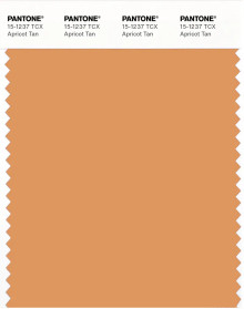 PANTONE 色見本 セット PANTONE® APAC | Pantone 15-1237 TCX Apricot Tan