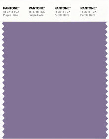 PANTONE® USA | Pantone 18-3718 TCX Purple Haze