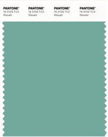 PANTONE® USA | Pantone 16-5109 TCX Wasabi