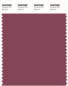 PANTONE® USA | Pantone 18-1619 TCX Maroon