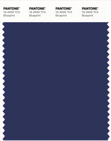 PANTONE® APAC | Pantone 19-3939 TCX Blueprint