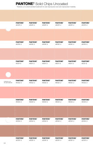 PANTONE® USA | Pantone 4031 U