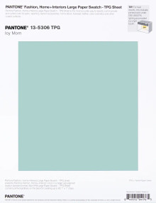 PANTONE® EU | Pantone 13-5306 TPG Icy Morn