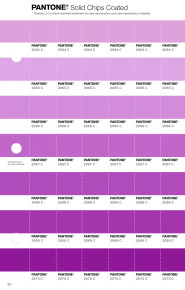 PANTONE® APAC | Pantone 2066 C