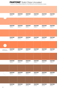 PANTONE® APAC | Pantone 1595 U