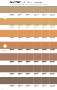 PANTONE® USA | Pantone 7563 U