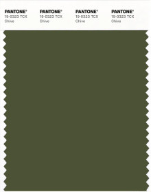 PANTONE® USA | Pantone 19-0323 TCX Chive