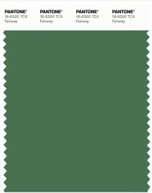 PANTONE® APAC | Pantone 18-6320 TCX Fairway