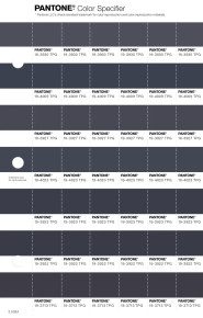 PANTONE® APAC | Pantone 19-4023 TPG Blue Nights