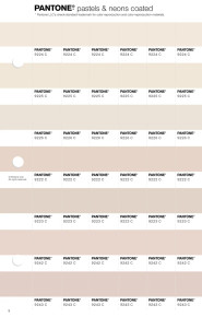 PANTONE® USA | Pantone 9224 C