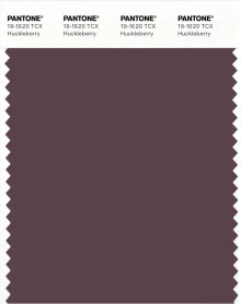 PANTONE® EU | Pantone 19-1620 TCX Huckleberry