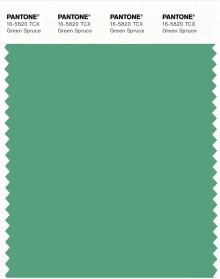 PANTONE® EU | Pantone 16-5820 TCX Green Spruce