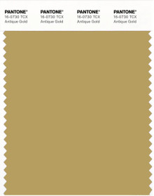 PANTONE® USA | Pantone 16-0730 TCX Antique Gold
