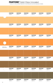 PANTONE® USA | Pantone 1365 U