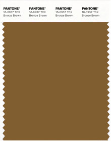 PANTONE® APAC | Pantone 18-0937 TCX Bronze Brown