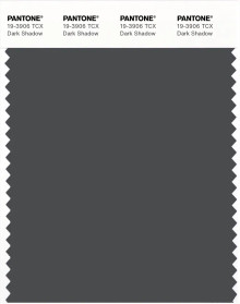 PANTONE® APAC | Pantone 19-3906 TCX Dark Shadow