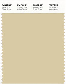 PANTONE® USA | Pantone 13-0613 TCX Chino Green