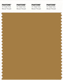 PANTONE® USA | Pantone 17-1129 TCX Wood Thrush