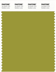 PANTONE® USA | Pantone 16-0543 TCX Golden Lime