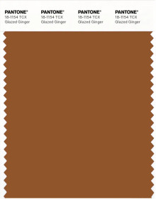 PANTONE® APAC | Pantone 18-1154 TCX Glazed Ginger
