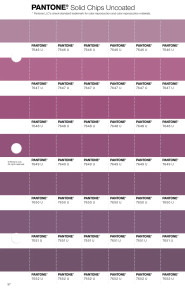 PANTONE® USA | Pantone 7651 U