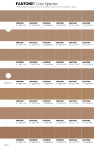 PANTONE® EU | Pantone 17-1226 TPG Tawny Brown