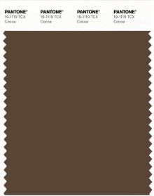PANTONE® EU | Pantone 19-1119 TCX Cocoa