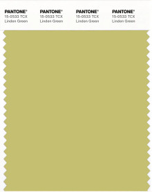 PANTONE® UK | Pantone 15-0533 TCX Linden Green