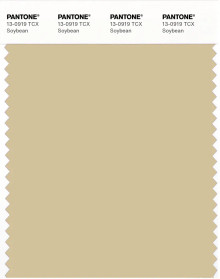 PANTONE® UK | Pantone 13-0919 TCX Soybean