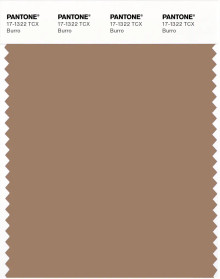 PANTONE® APAC | Pantone 17-1322 TCX Burro
