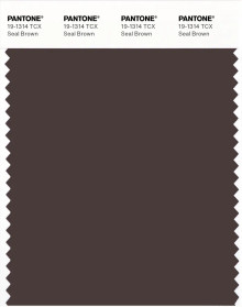 PANTONE® APAC | Pantone 19-1314 TCX Seal Brown