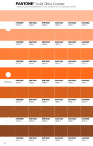 PANTONE® USA | Pantone 1565 C