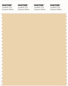 PANTONE® APAC | Pantone 13-0814 TCX Summer Melon